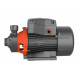 Поверхностный насос LEO AP 150